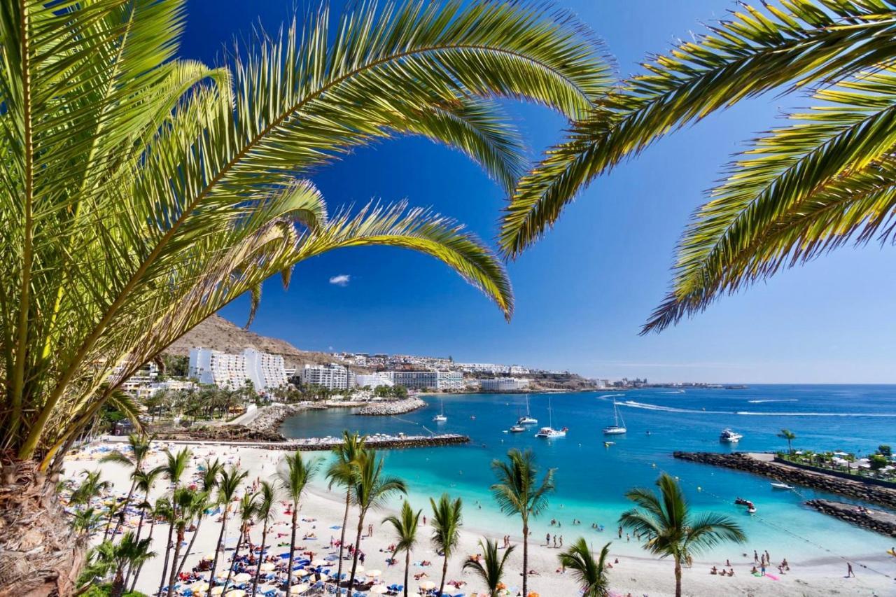 Lovely Apartment Seaview In Puerto Rico With Heated Swimming Pool, Free Wi-Fi And Free Private Parking Dış mekan fotoğraf